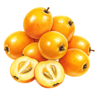 A Watercolor of loquats stacked together with two halves showing the seeds and pulp on a solid color on transparent background png