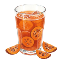 A reWatercoloring beverage with ice cubes and orange slices in a clear Watercolor on a plain setting view on transparent background png