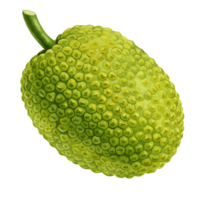 A close up view of a jackfruit with a green stem on an isolated solid color plain backdrop on transparent background png