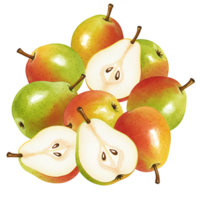 Arrangement of whole and halved pears showing their seeds and stems against a plain backdrop on transparent background png