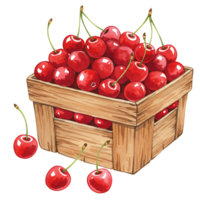 A Watercolor crate overflowing with Watercolor red cherries and stems in an artistic rendering style image on transparent background png
