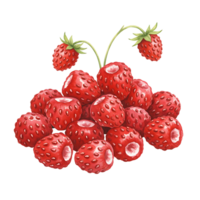 A vibrant pile of ripe strawberries with stems against a plain setting creating a Watercolor food vibe on transparent background png