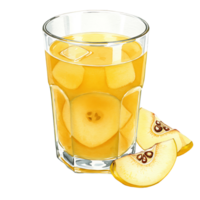 A reWatercoloring beverage with fruit slices and ice cubes in a clear Watercolor on a plain setting shown here on transparent background png