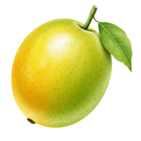 A Watercolor light green apple with a stem and a leaf on an isolated solid color simple background view on transparent background png