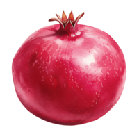 A Watercolor pomegranate with a crown on top in a watercolor style against a plain and simple setting shown on transparent background png