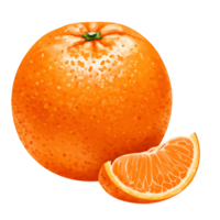 A vibrant orange fruit with a slice resting beside it against a plain solid color background space on transparent background png