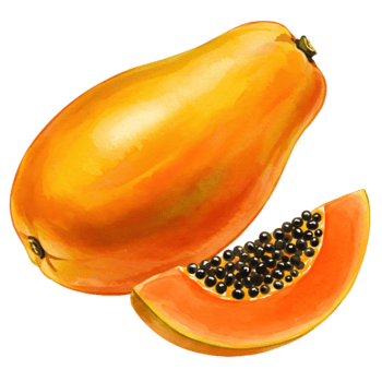 un' vivace papaia con un' fetta mostrando semi contro un' pianura fondale nel un' digitale interpretazione stile su trasparente sfondo png