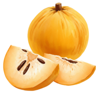 A still life of a canistel fruit with slices showing seeds on a plain setting in a digital painting style on transparent background png
