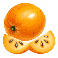 A Watercolor persimmon fruit with two slices showing seeds in an orange color scheme isolated on plain space on transparent background png