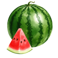 A whole watermelon and a slice with seeds on a plain backdrop in a watercolor style design art on transparent background png