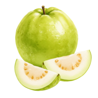 A Watercolor guava fruit with two slices showing the seeds and pulp on a plain studio environment view image on transparent background png