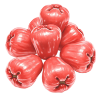 A Watercolor of several rose apples stacked together in a pile on a plain surface with a simple color scheme on transparent background png
