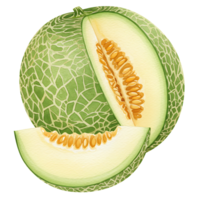 A melon with a slice cut out showing the seeds and a separate slice on a transparent area view on transparent background png