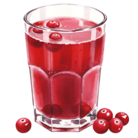 A Watercolor filled with red cranberry juice and some cranberries scattered around on the surface and the bottom on transparent background png