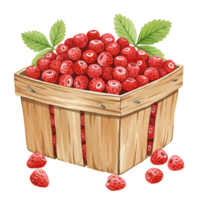 A Watercolor basket filled with many small red berries and green leaves on a plain color background image on transparent background png