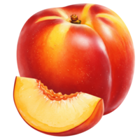 A Watercolor nectarine with a slice cut off showing the flesh on an isolated plain background view close up on transparent background png