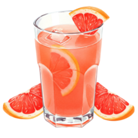 A reWatercoloring beverage with grapefruit slices and ice cubes in a clear Watercolor on a plain setting on transparent background png