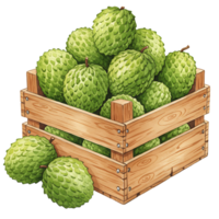 A Watercolor crate filled with a pile of green soursop fruits with stems on a plain transparent area on transparent background png