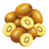 A pile of golden kiwis with some sliced open showing the yellow flesh and tiny seeds inside the fruit on transparent background png