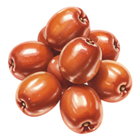 A Watercolor of shiny reddish brown fruits piled together in a cluster on a plain solid color surface on transparent background png