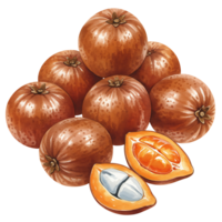 A Watercolor of eight lucuma fruits with one cut open revealing the seed and pulp on a plain backdrop on transparent background png
