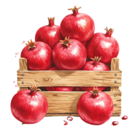 A Watercolor crate filled with several ripe pomegranates stacked high and some scattered around it below on transparent background png
