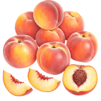 Arrangement of several whole peaches and sliced peaches on a plain color surrounding area on transparent background png
