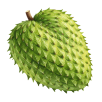 A Watercolor soursop fruit with a spiky skin and a stem on top, isolated on a plain backdrop image on transparent background png
