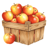 A Watercolor crate filled with many red and yellow apples with stems and a Watercolor apple in front view on transparent background png
