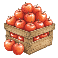 A Watercolor crate filled to the brim with vibrant red apples on a solid color canvas scene view art on transparent background png
