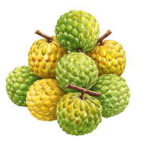 A vibrant stack of custard apples in shades of green and yellow on a plain canvas backdrop art piece on transparent background png