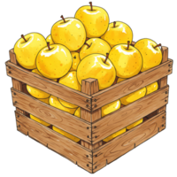 A Watercolor crate filled to the brim with a large quantity of ripe golden delicious apples inside of the crate on transparent background png