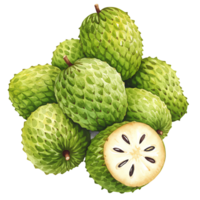 A pile of green custard apples with one cut open showing the seeds on a plain color space area view on transparent background png