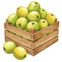 A crate filled with many green and yellow apples with one apple outside the crate near the bottom on transparent background png