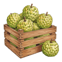 A Watercolor crate filled with custard apples and one sitting outside the crate near the corner side on transparent background png