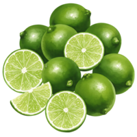 A vibrant Watercolor of whole and sliced limes arranged on a plain surface in a close up shot view on transparent background png