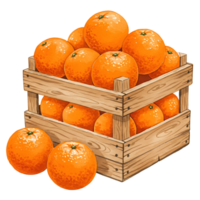 A Watercolor crate filled with many ripe oranges and two oranges sitting in front of the crate below it on transparent background png
