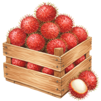 A Watercolor crate filled with many red rambutan fruits and one open rambutan next to the crate art on transparent background png