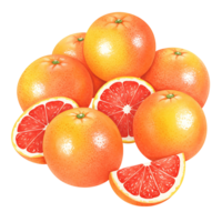 A Watercolor of several grapefruits with some sliced open showing the juicy red insides of the fruit on transparent background png