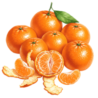 A Watercolor of vibrant tangerines with one sliced in half and some peels scattered around the fruit pile on transparent background png