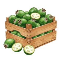 A Watercolor crate filled with feijoa fruits and a few cut open feijoas placed on the surface nearby it on transparent background png