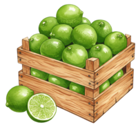 A Watercolor crate filled with many Watercolor green limes and a sliced lime sitting beside the crate image art on transparent background png