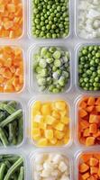 Assorted frozen vegetables in transparent containers displayed in rows photo