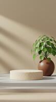 Minimalist product display featuring textured beige cylinders and a vibrant green Pilea peperomioides photo