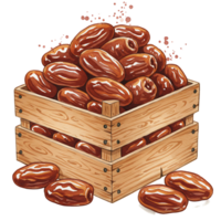 A Watercolor crate filled with Watercolor dates and some scattered around the crate on a plain color area on transparent background png