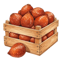 A Watercolor crate filled with salak fruits and one salak fruit placed next to the crate on the ground on transparent background png