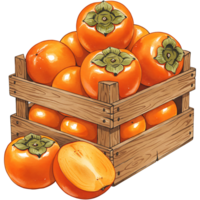 A Watercolor crate filled with a pile of ripe persimmons and one cut open on the side of the crate on transparent background png