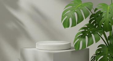 A white ribbed podium sits atop a grey block beside lush Monstera leaves against a shadowed wall photo