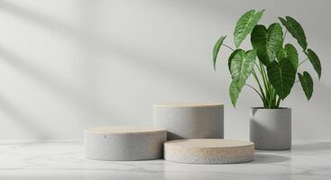 Minimalist product display featuring textured grey cylinders with beige tops and lush tropical foliage photo
