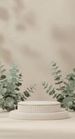 Minimalist natural product display featuring textured beige cylinders and delicate grey-green foliage photo